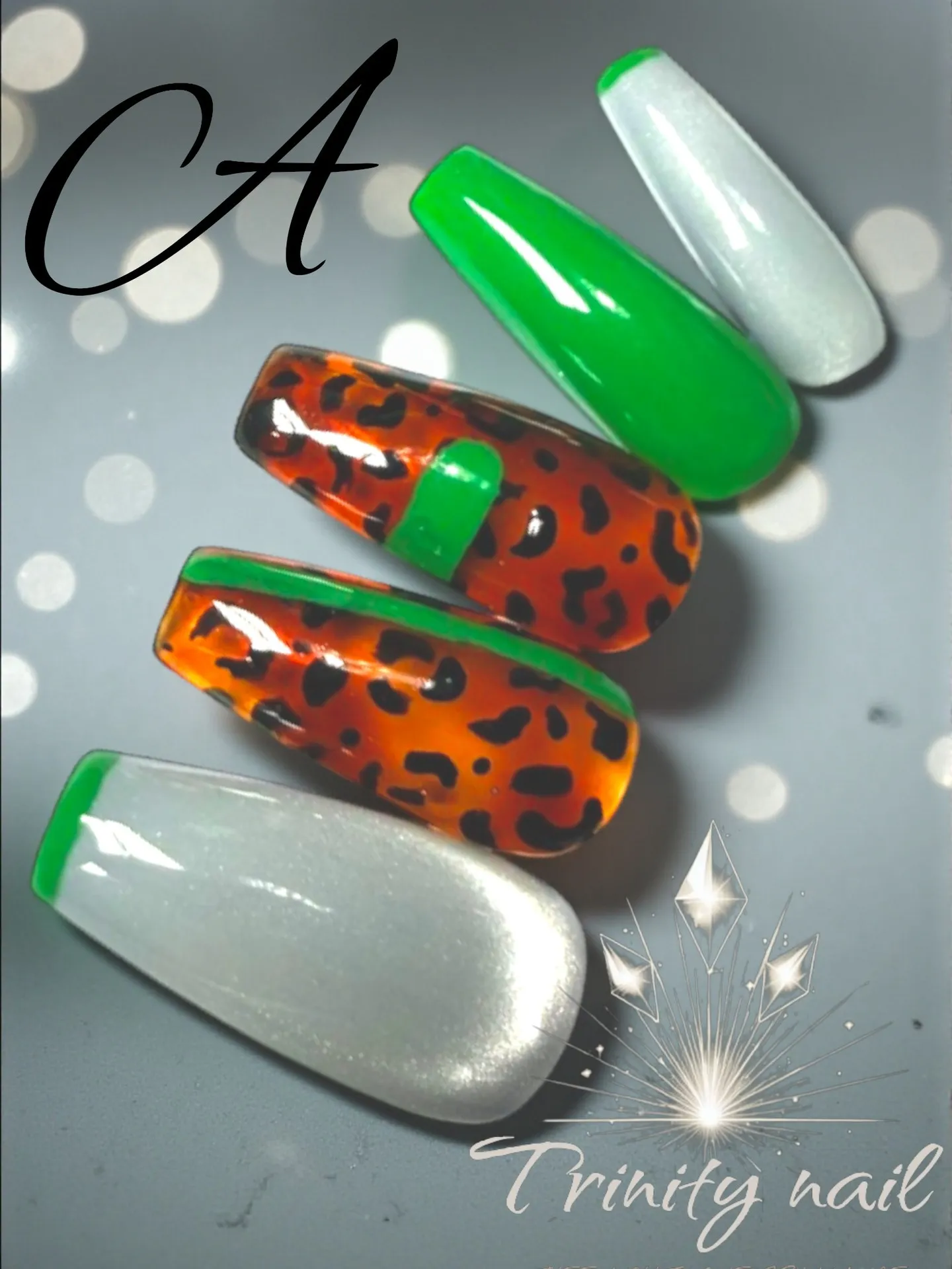 ✺⋆⋆✺⋆⋆✺ ⋆⋆✺⋆⋆✺