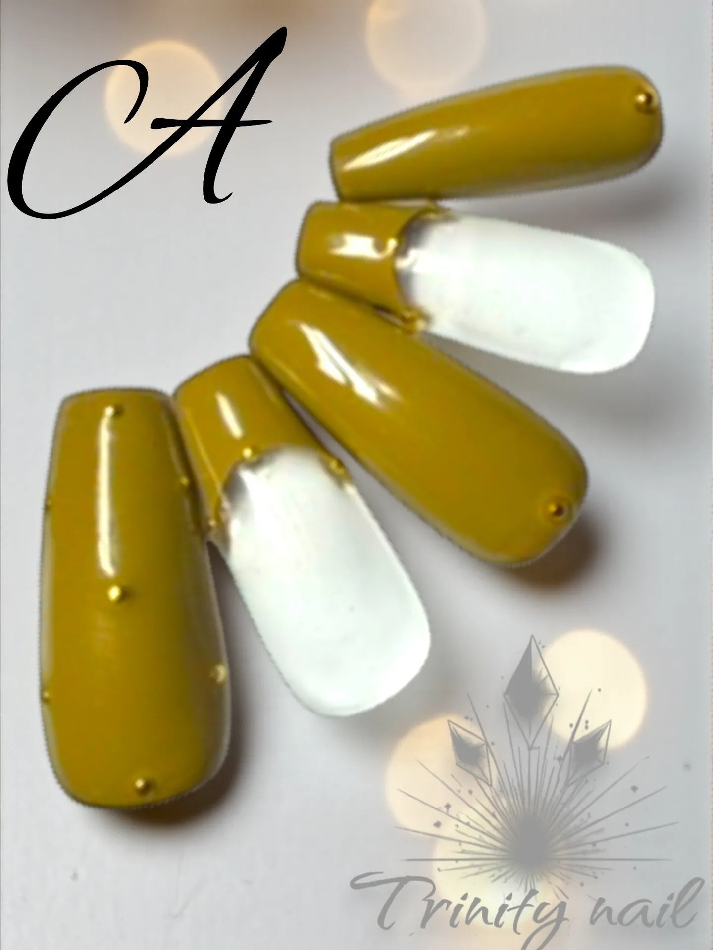 ✺⋆⋆✺⋆⋆✺ ⋆⋆✺⋆⋆✺