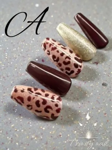 定額アートAコース