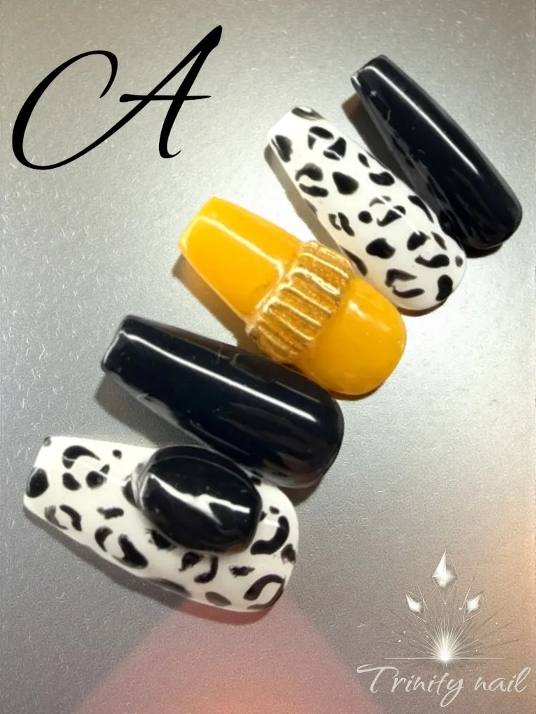 定額アートAコース